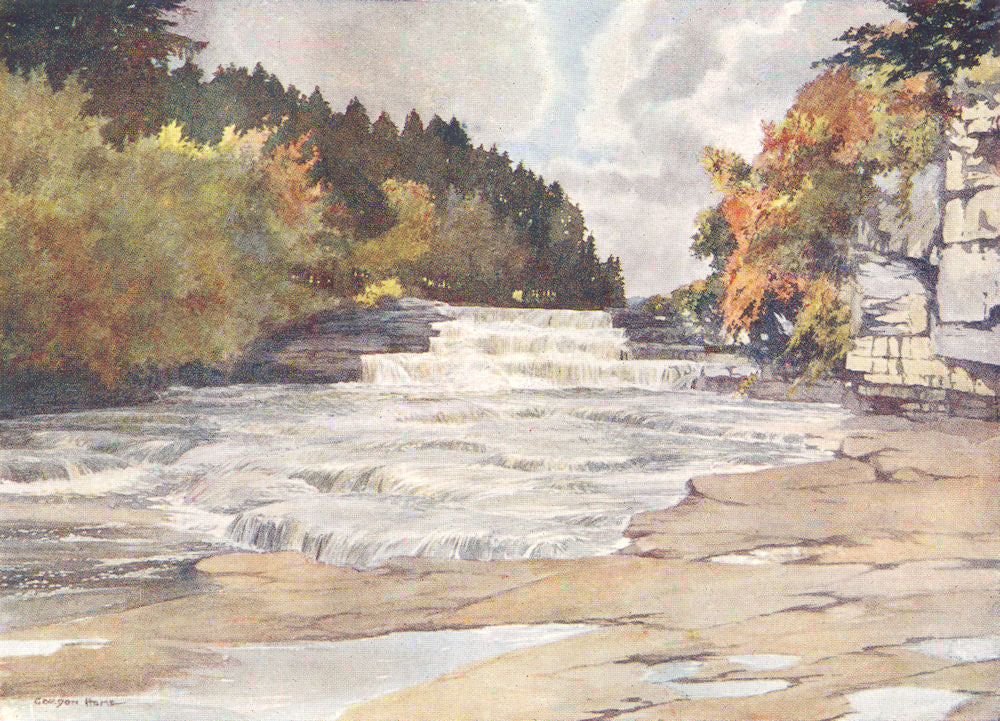 YORKS. Wensleydale. Aysgarth Force 1908 old antique vintage print picture